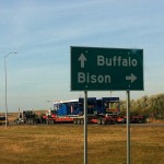 Buffalo North, Bison East